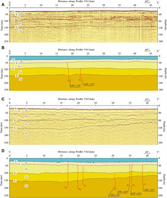 Identification of the late Quaternary activity of the littoral fault zone at the Northern Jiangsu province in China